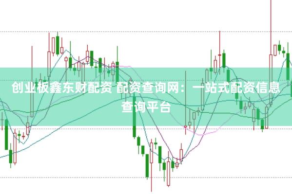 创业板鑫东财配资 配资查询网：一站式配资信息查询平台