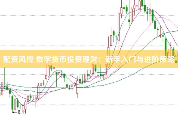 配资风控 数字货币投资理财：新手入门与进阶策略