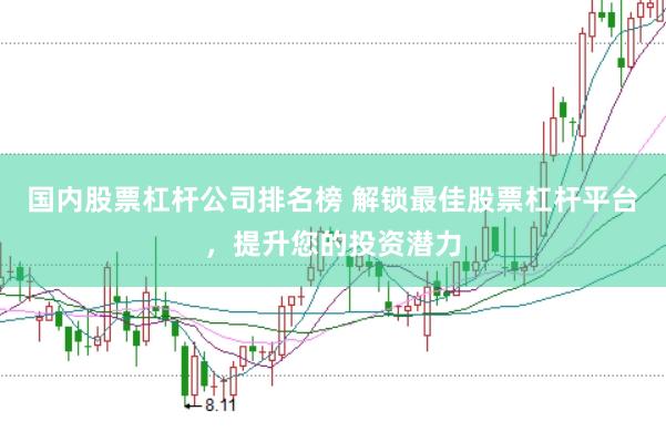 国内股票杠杆公司排名榜 解锁最佳股票杠杆平台，提升您的投资潜力