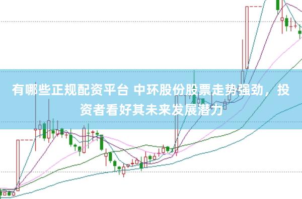 有哪些正规配资平台 中环股份股票走势强劲，投资者看好其未来发展潜力