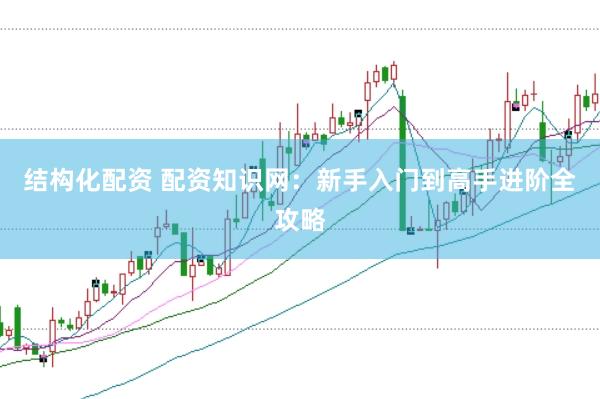 结构化配资 配资知识网：新手入门到高手进阶全攻略