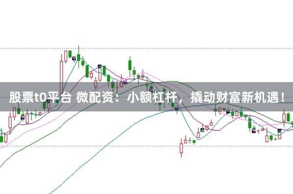 股票t0平台 微配资：小额杠杆，撬动财富新机遇！