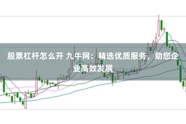 股票杠杆怎么开 九牛网：精选优质服务，助您企业高效发展
