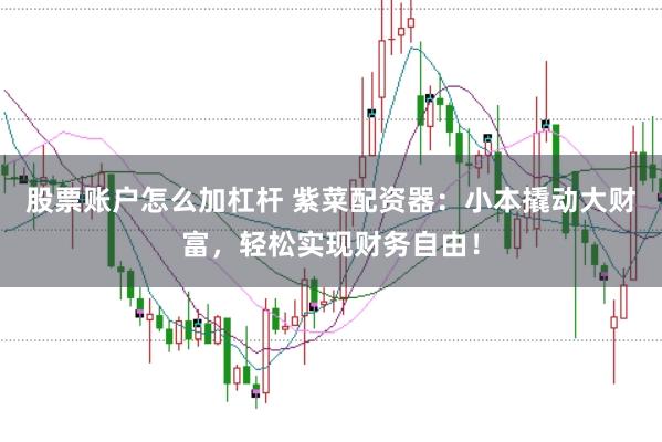 股票账户怎么加杠杆 紫菜配资器：小本撬动大财富，轻松实现财务自由！
