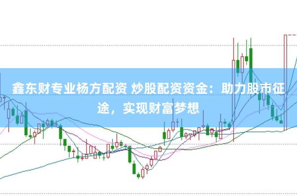 鑫东财专业杨方配资 炒股配资资金：助力股市征途，实现财富梦想