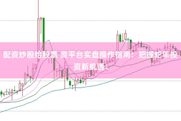 配资炒股给股票 资平台实盘操作指南：把握蛇年投资新机遇！