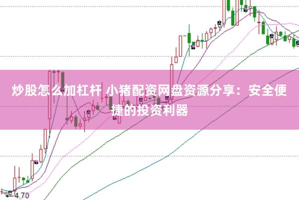 炒股怎么加杠杆 小猪配资网盘资源分享：安全便捷的投资利器