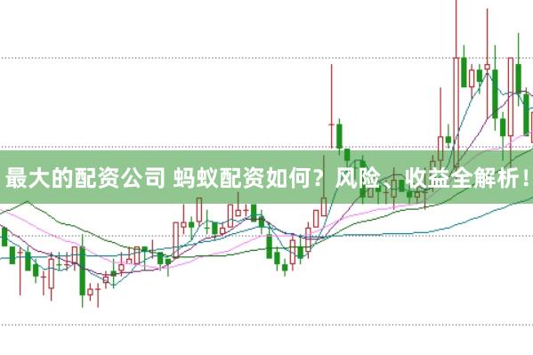 最大的配资公司 蚂蚁配资如何？风险、收益全解析！
