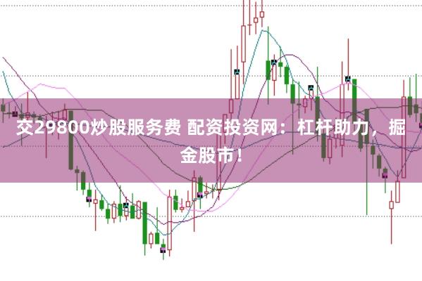 交29800炒股服务费 配资投资网：杠杆助力，掘金股市！
