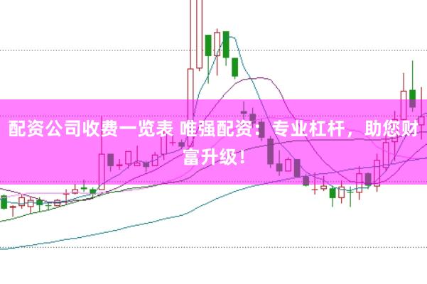 配资公司收费一览表 唯强配资：专业杠杆，助您财富升级！