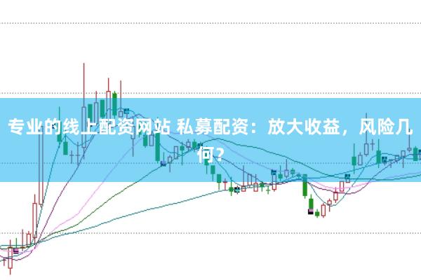 专业的线上配资网站 私募配资：放大收益，风险几何？