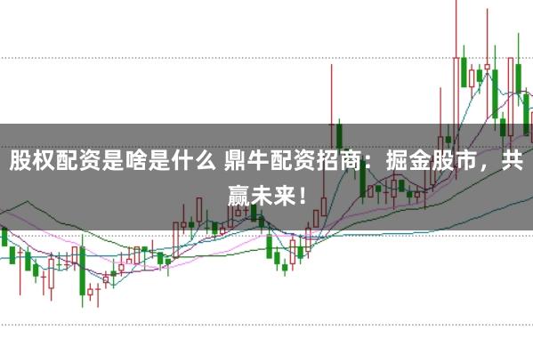 股权配资是啥是什么 鼎牛配资招商：掘金股市，共赢未来！