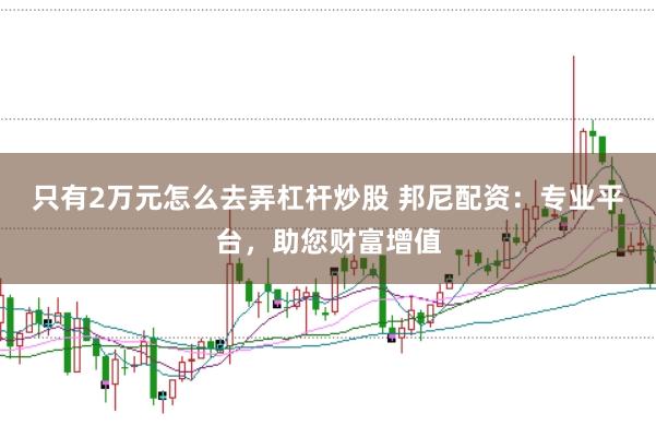 只有2万元怎么去弄杠杆炒股 邦尼配资:专业平台,助您财富增值