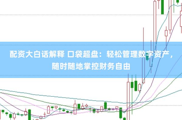 配资大白话解释 口袋超盘：轻松管理数字资产，随时随地掌控财务自由