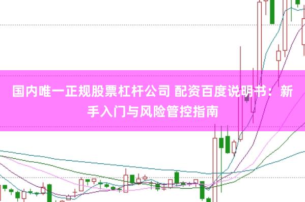 国内唯一正规股票杠杆公司 配资百度说明书：新手入门与风险管控指南