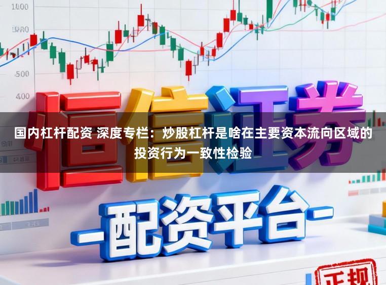 国内杠杆配资 深度专栏：炒股杠杆是啥在主要资本流向区域的投资行为一致性检验