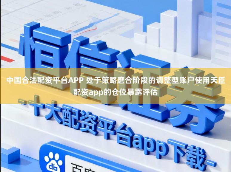 中国合法配资平台APP 处于策略磨合阶段的调整型账户使用天臣配资app的仓位暴露评估