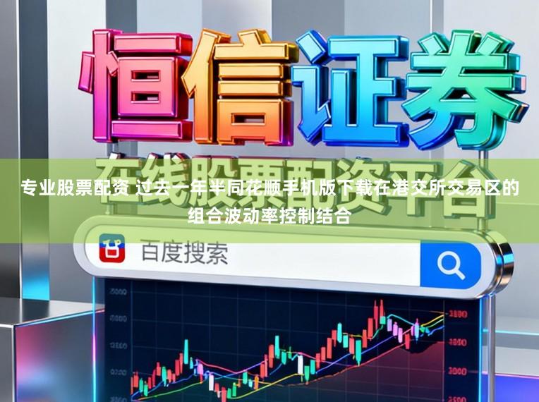 专业股票配资 过去一年半同花顺手机版下载在港交所交易区的组合波动率控制结合