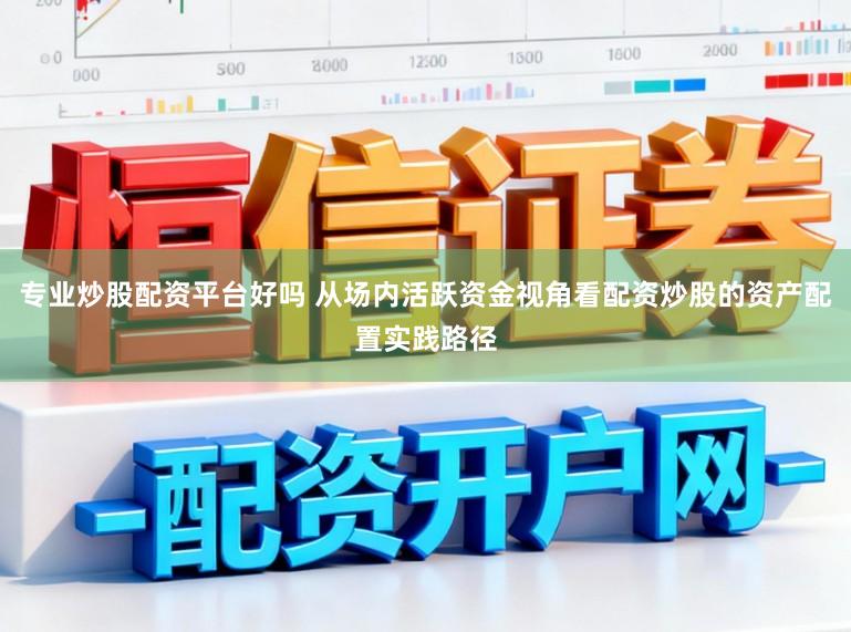 专业炒股配资平台好吗 从场内活跃资金视角看配资炒股的资产配置实践路径
